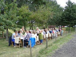 Lunch Lange tafels in het Gras